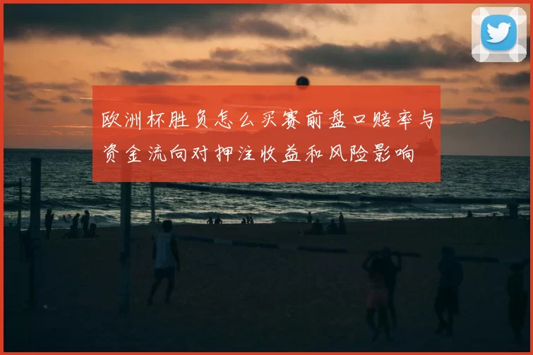 欧洲杯胜负怎么买赛前盘口赔率与资金流向对押注收益和风险影响