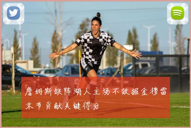 詹姆斯缺阵湖人主场不敌掘金穆雷末节贡献关键得分