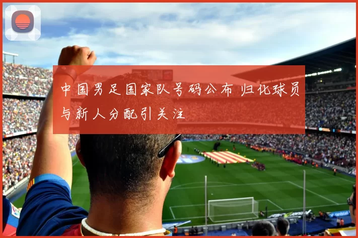 中国男足国家队号码公布 归化球员与新人分配引关注